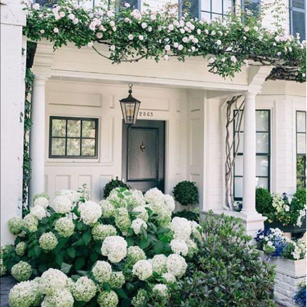 Meet your Posher, Cassi